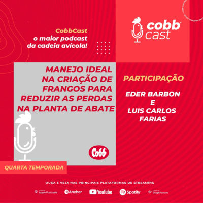 #07 Manejo ideal na criação de frangos para reduzir as perdas na planta de abate