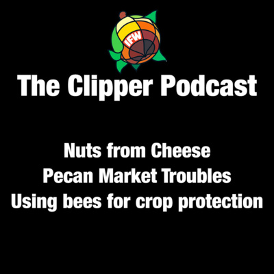 The Clipper Nuts and Dried Fruit Podcast Edition 2 2019