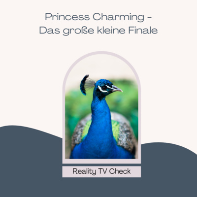 Reality TV Check