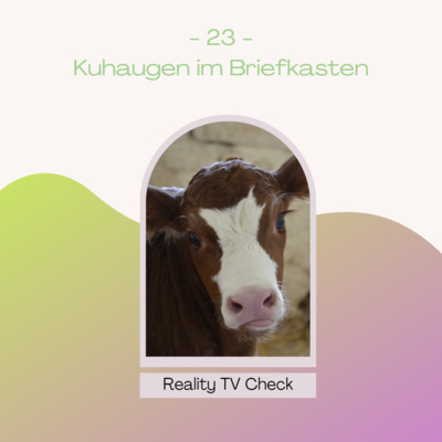 Reality TV Check