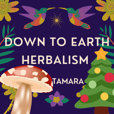 The Ethnobotany of Christmas and the Winter Solstice #18