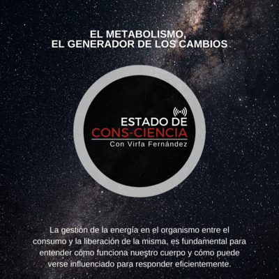 Estado De Consciencia