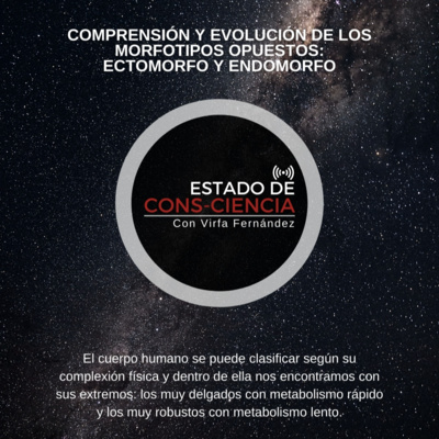 Estado De Consciencia