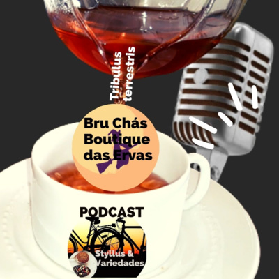 PODCAST Styllus & Variedades