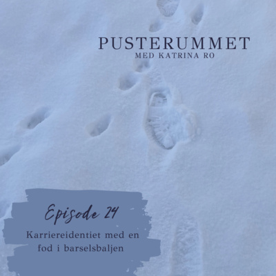 24. Karriereidentitet med en fod i barselsbaljen