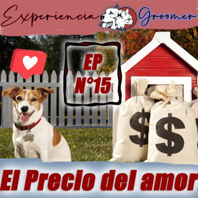 Experiencia Groomer
