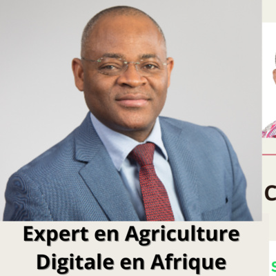 #17 - Ken Lohento : Expert en Agriculture Digitale en Afrique, Consultant à la FAO