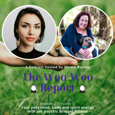 Your pets mind, body and spirit energy with pet psychic Bridget Pilloud 