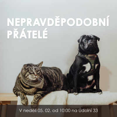 23|02|05| Bedřich Smola | Nepravděpodobní přátelé