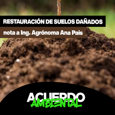 Acuerdo Ambiental