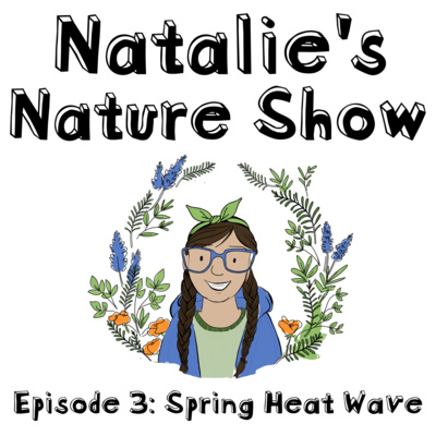 Episode 3 - Spring Heat Wave