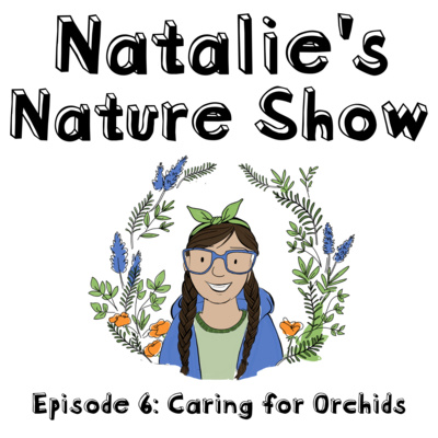 Episode 6 - Caring for Orchids