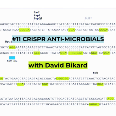 #11 CRISPR AntiMicrobials ( David Bikard)