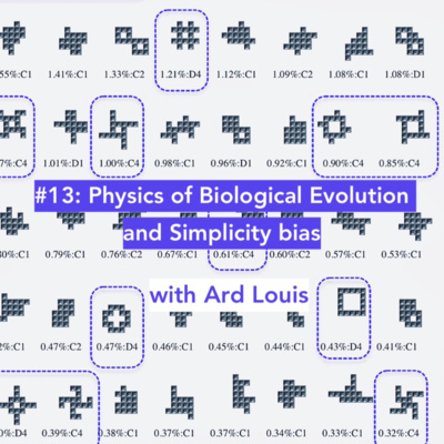 #13 Physics of Biological Evolution and Simplicity Bias ( Ard Louis)