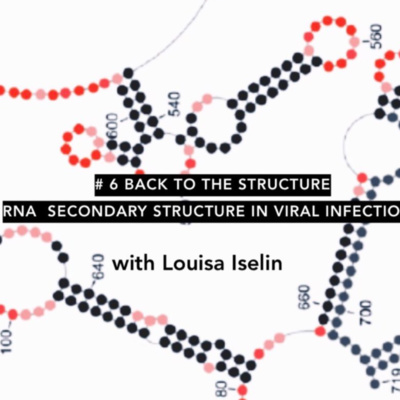 #6 Back to the Structure: RNA Secondary Structure in Viral Infections (Louisa Iselin)