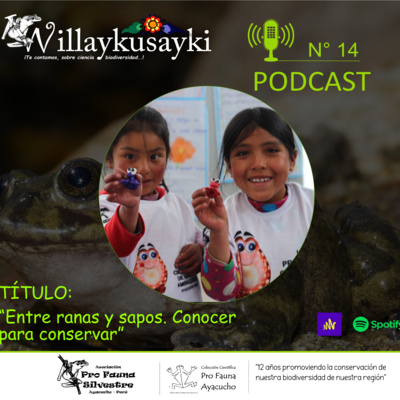 Willaykusayki