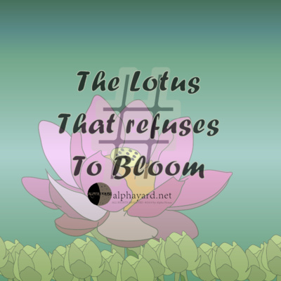 The Lotus That Refuses to Bloom