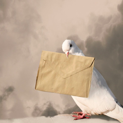 Spiritual Awakening & Channeling | Przebudzenie w Nowej Ziemi QHET Polska