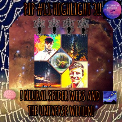 🕷️🕸️NEURAL SPIDER WEBS AND THE UNIVERSE WITHIN🧠🌌 PIP#11 HL3