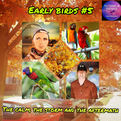PIP EARLY BIRDS #5 THE CALM, THE STORM AND THE AFTERMATH