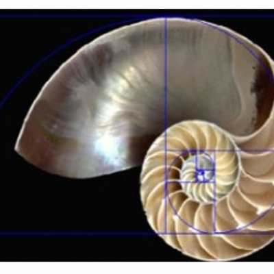 La sucesión de Fibonacci