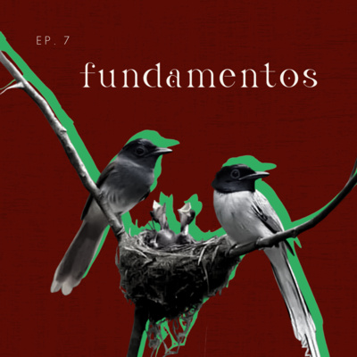 ninho em galhos frágeis #7 ninho em galhos frágeis #7