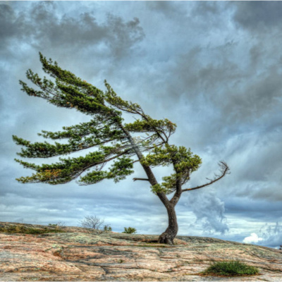 Secured In, And By Your Heavenly Father’s Love For You