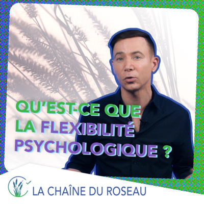 Qu’est-ce que la flexibilité psychologique ? (Et si vous vous adaptiez à toutes les situations sans jamais les subir !)
