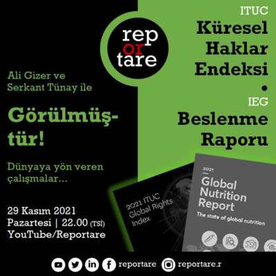 Reportare