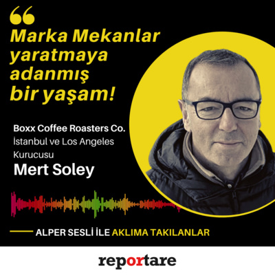 Reportare