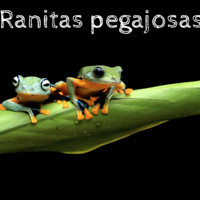 Creados para mucho más
