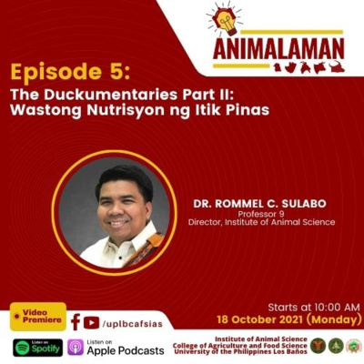 The Duckumentaries Part II: Wastong Nutrisyon ng Itik Pinas | Ep. 5