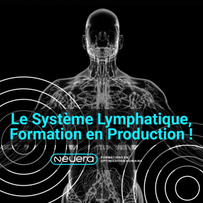 Le Système Lymphatique, teaser de la formation !