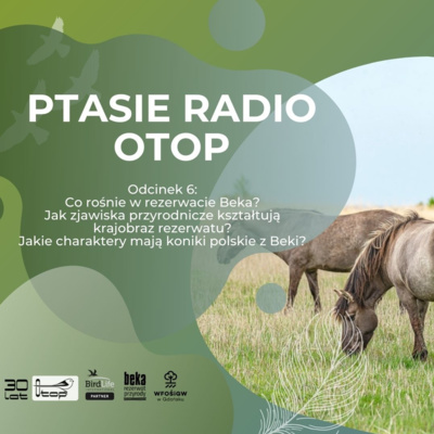 Ptasie Radio OTOP | odc. 6 | Bogna Błaszkowska i Michał Machnikowski o tym, co rośnie w rezerwacie Beka, Mariusz Miotke o konikach polskich