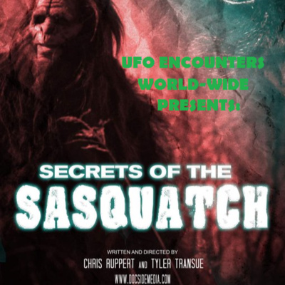 UFO Encounters World-Wide