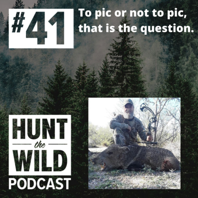 Ep. 41: To pic or not to pic, that is the question.