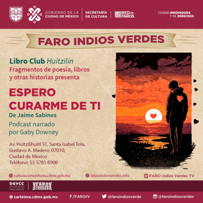 Portada de FARO INDIOS VERDES
