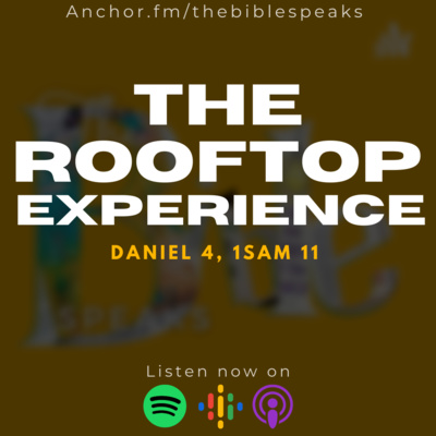 The Rooftop Experience The Rooftop Experience