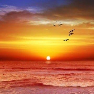 Pensando con una mente libre