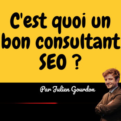 C'est quoi un bon consultant SEO ? - Ep. 7 - LPHS