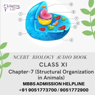 NCERT Class XI Biology-Chapter-7 (Structural Organization in Animals)
