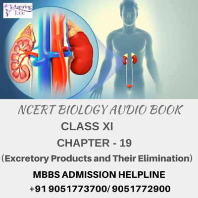 NCERT Class XI Biology-Chapter-19 (Excretory Products and Their Elimination)