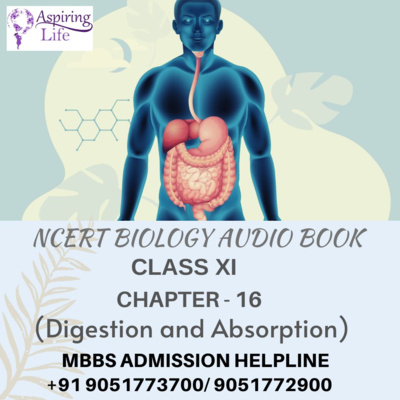 NCERT Class XI Biology-Chapter-16 (Digestion and Absorption)