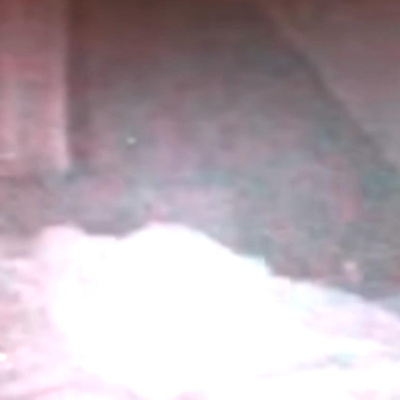 Woman filmed vanishing from bed during alien abduction