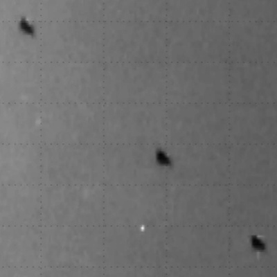 UFOs are everywhere in the skies above Ukraine, say astronomers