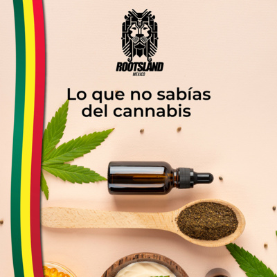 Rootsland Mx: Lo que no sabías del Cannabis: parte 1 episode artwork