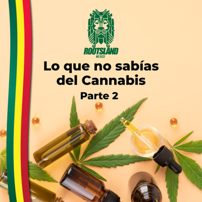 Rootsland Mx: Lo que no sabías del Cannabis parte 2 episode artwork