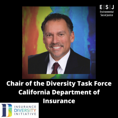 The Insurance Diversity Initiative Advancing supplier and governing board diversity within Californiaโs $340 billion insurance industry.