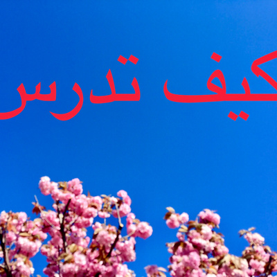 How Do You Study Arabic? Ricky's Answers!