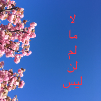 How to Negate in Arabic: 5 Words You Need to Know
